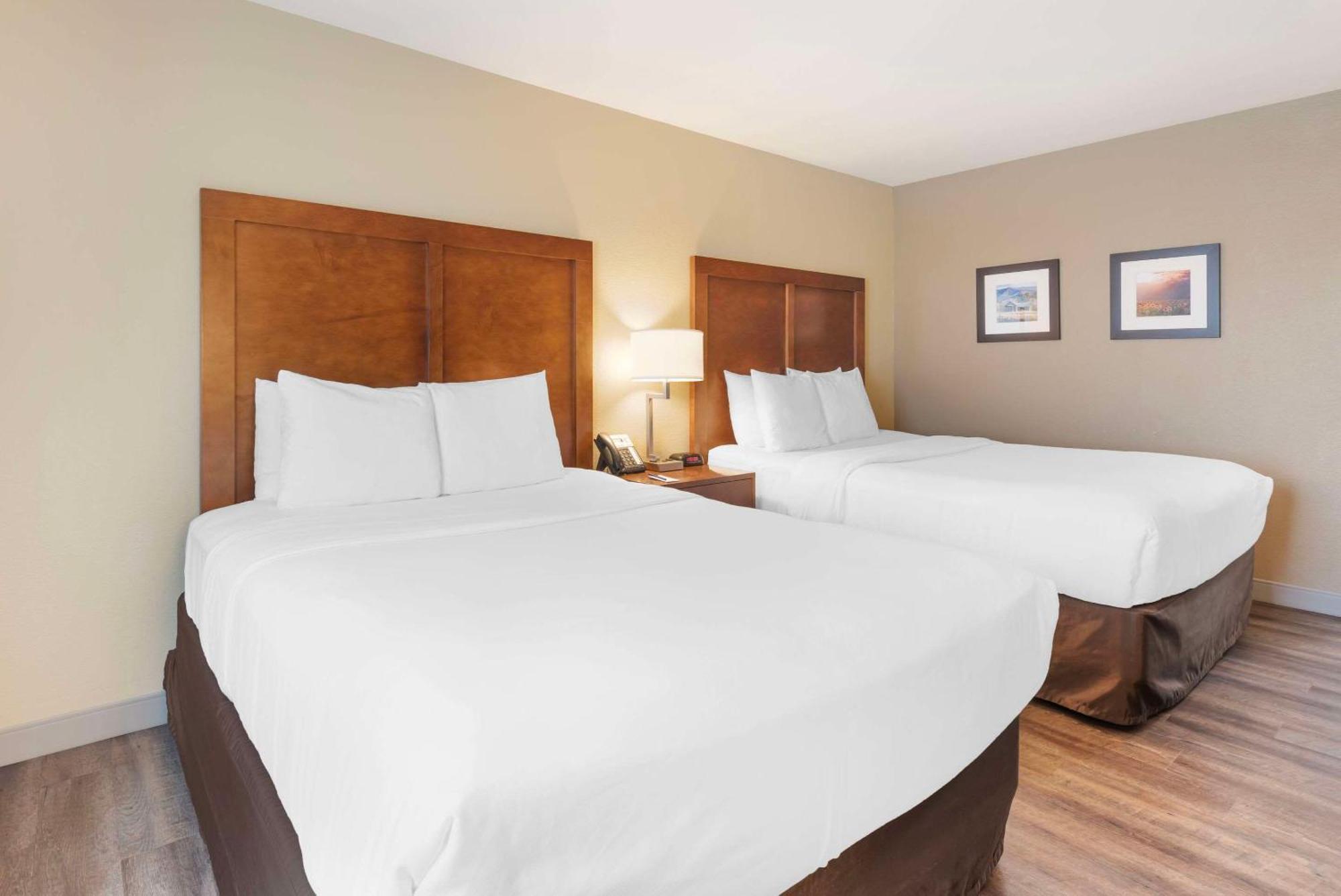 Comfort Inn&Suites Carbondale Eksteriør bilde
