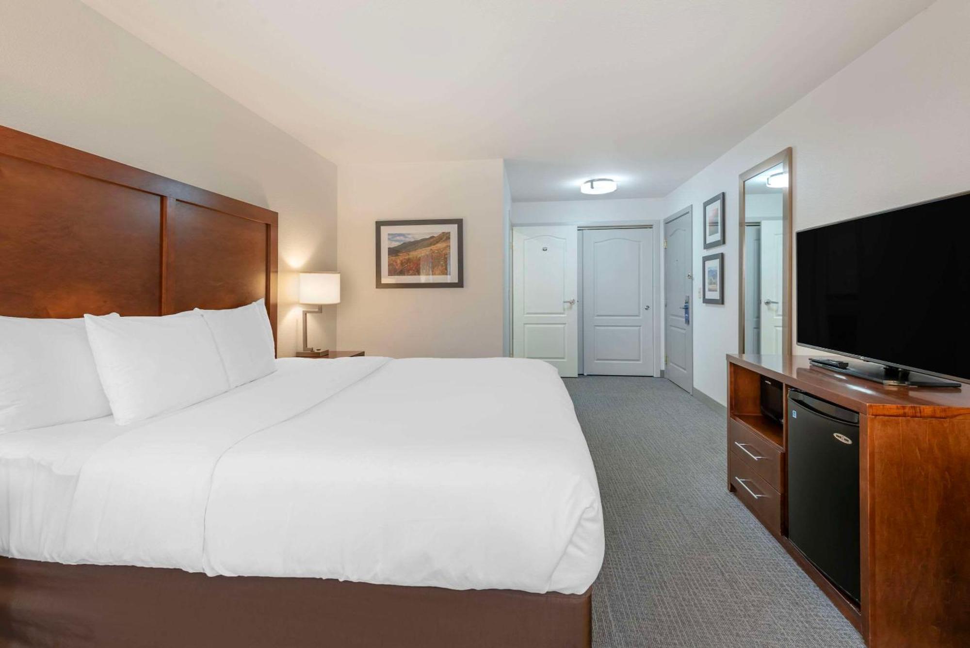 Comfort Inn&Suites Carbondale Eksteriør bilde
